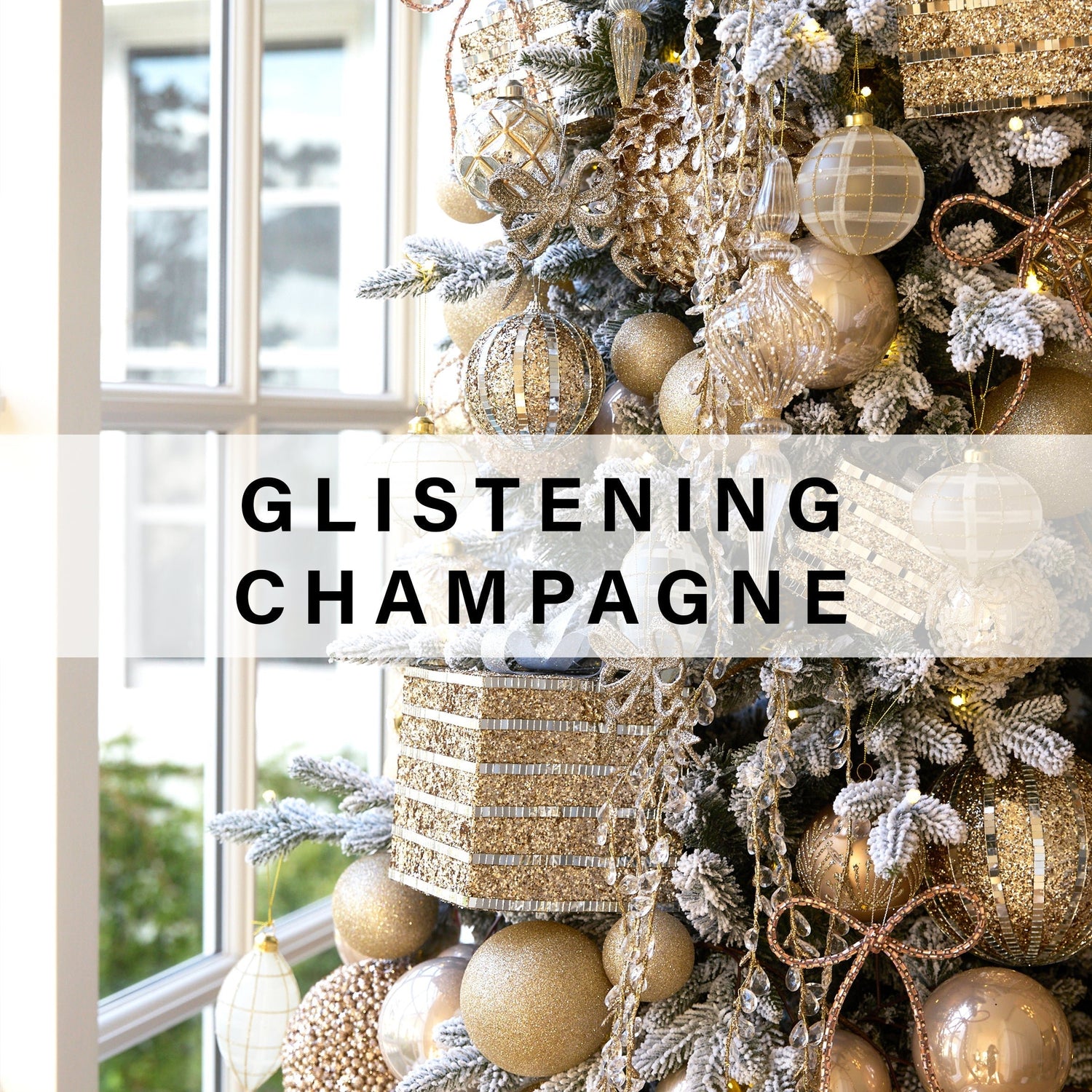 Glistening Champagne XM2025