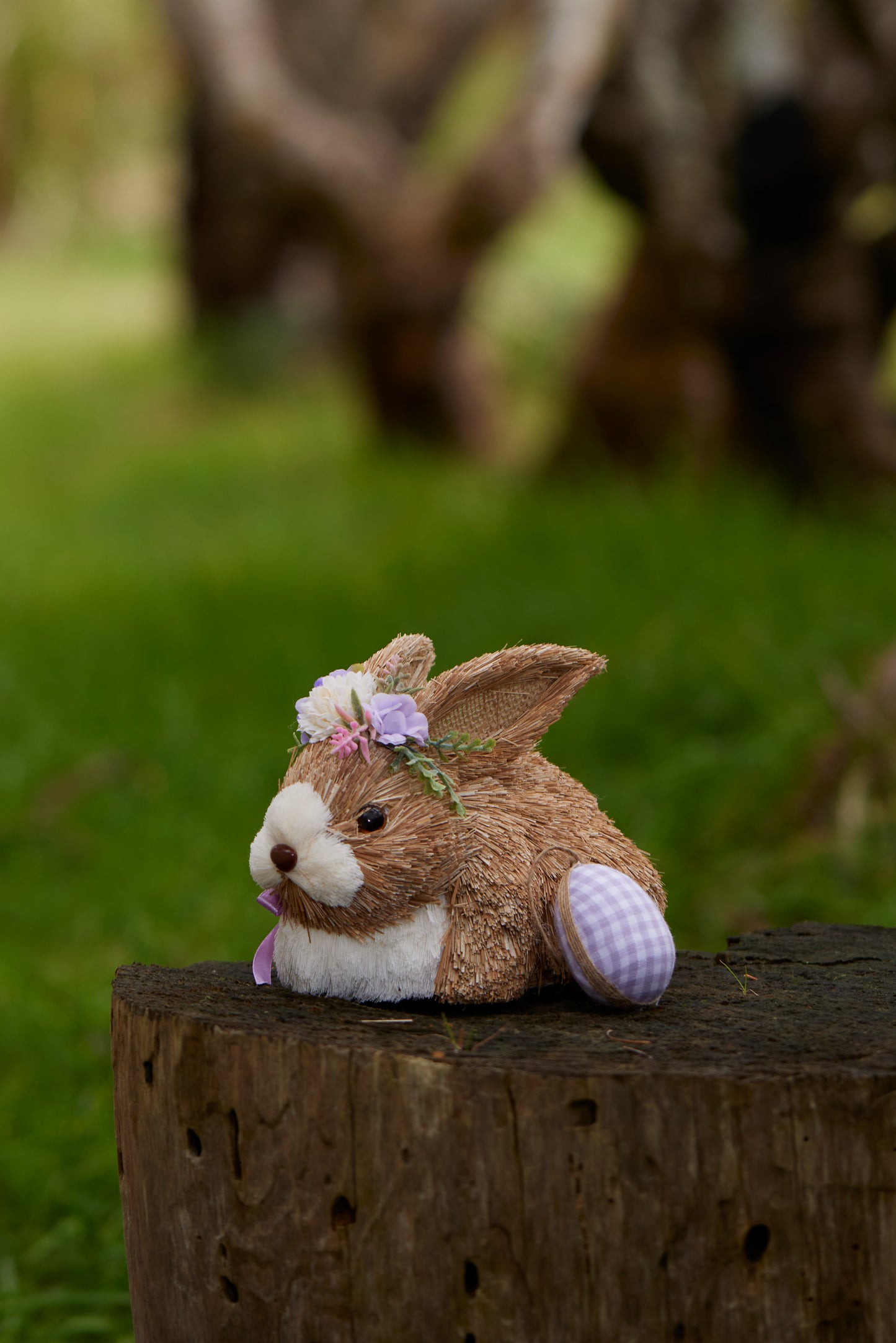 Lanny Rabbit With Flowers