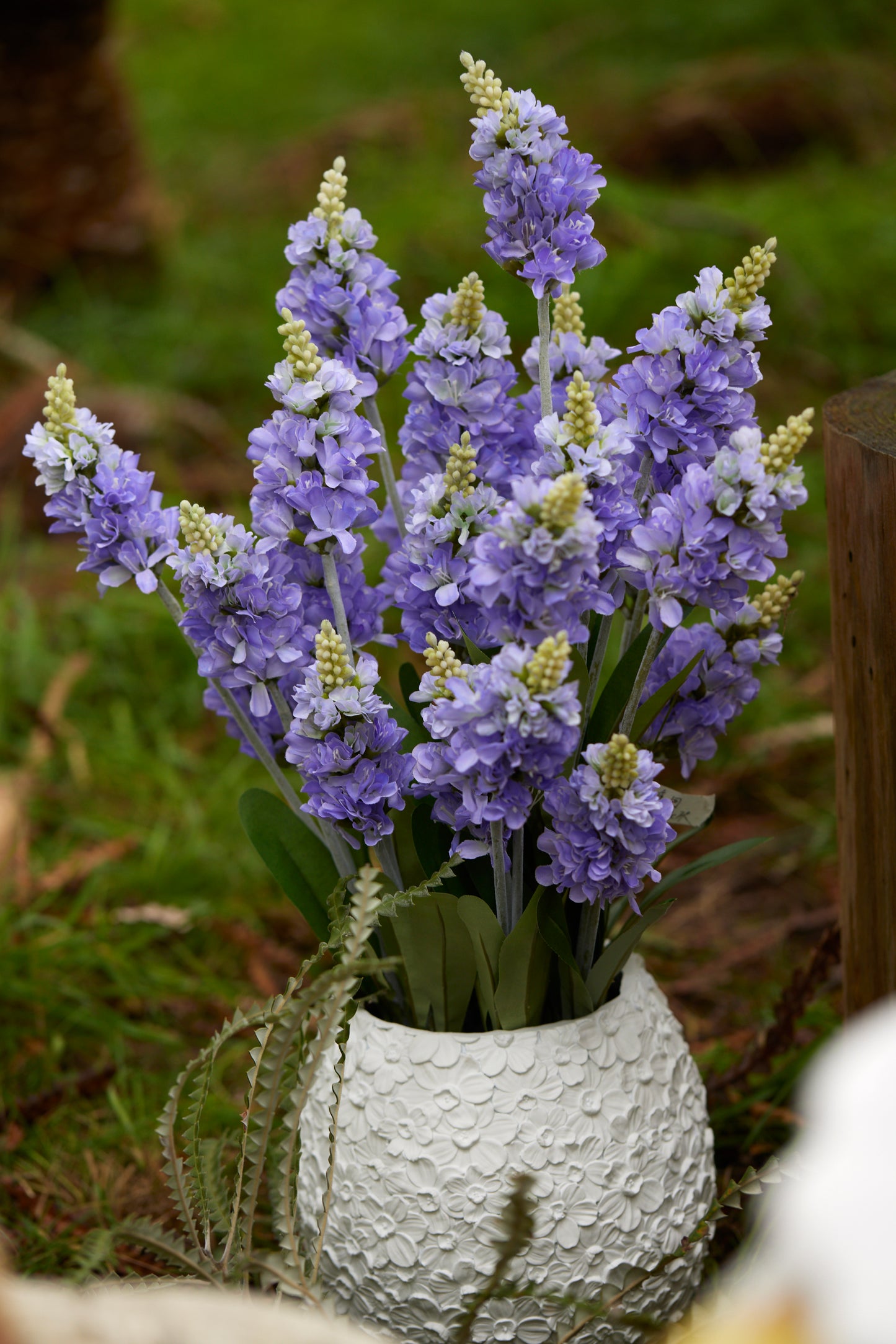 Potted Grape Hyacinth Arrangement