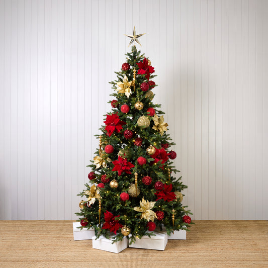 RED AND GOLD STARTER PACK