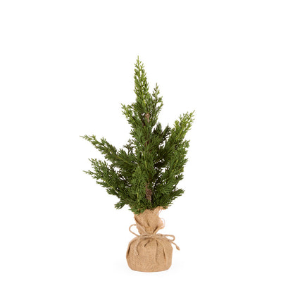 46cm Potted Cypress Tree