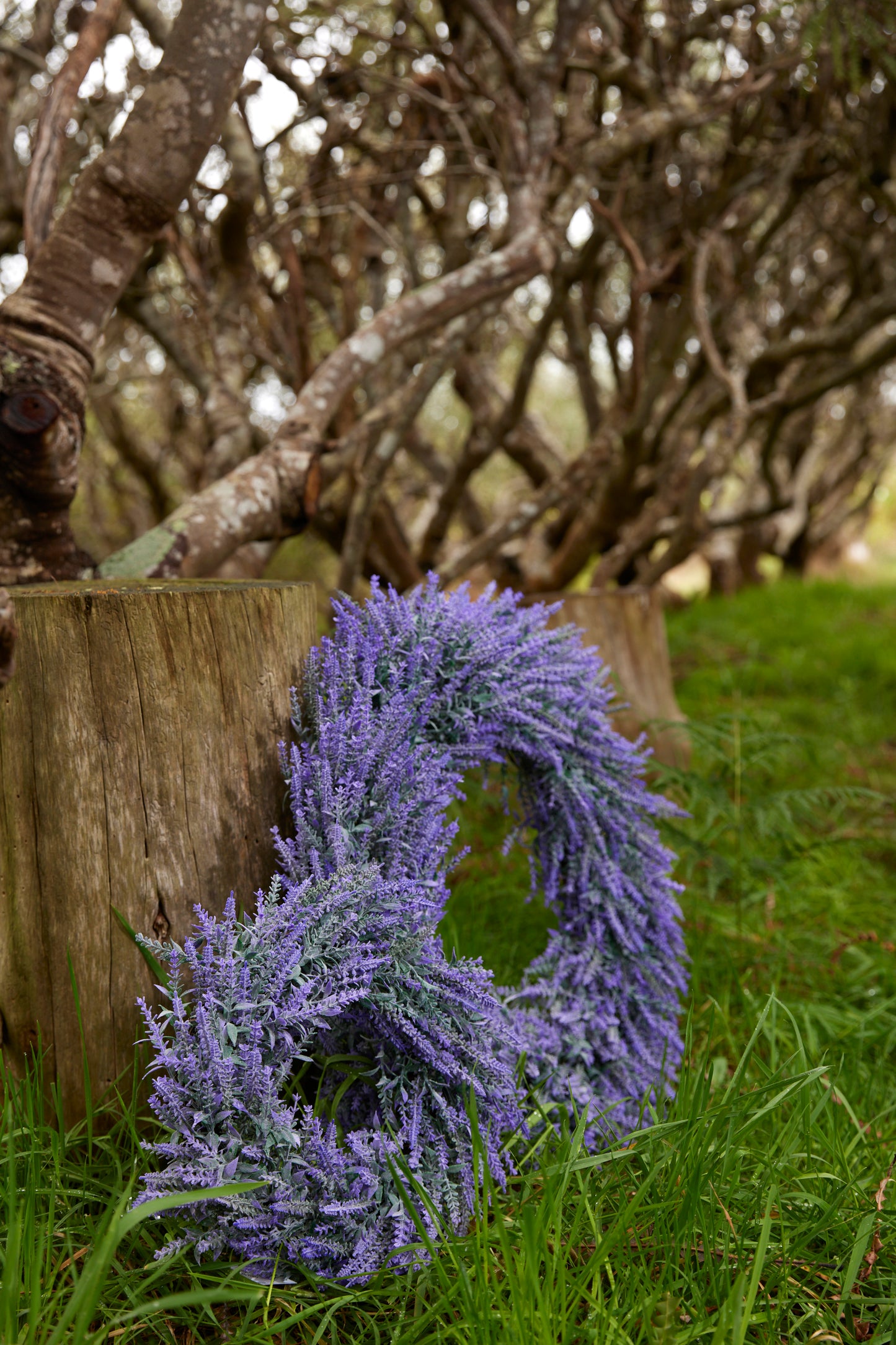 36 Cm Lavender Fields Wreath