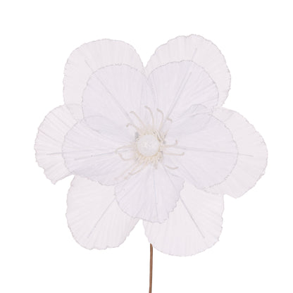 Sheer White Camellia