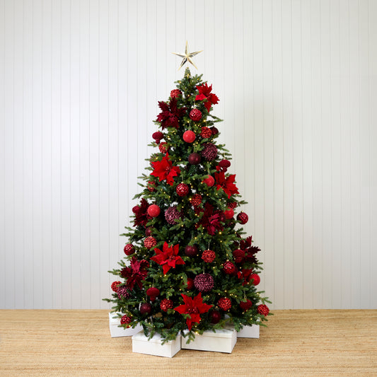 RED AND BURGUNDY STARTER PACK