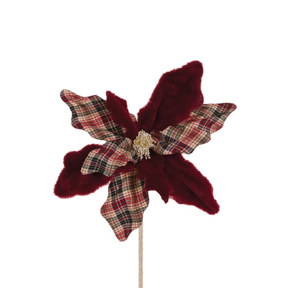 BURGUNDY WINTER TARTAN POINSETTIA