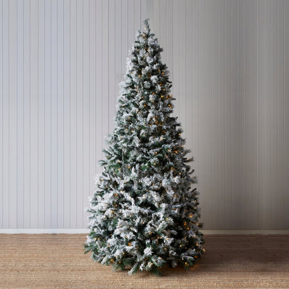 9.5 Ft. Douglas Fir Snow Tree - 760 LED