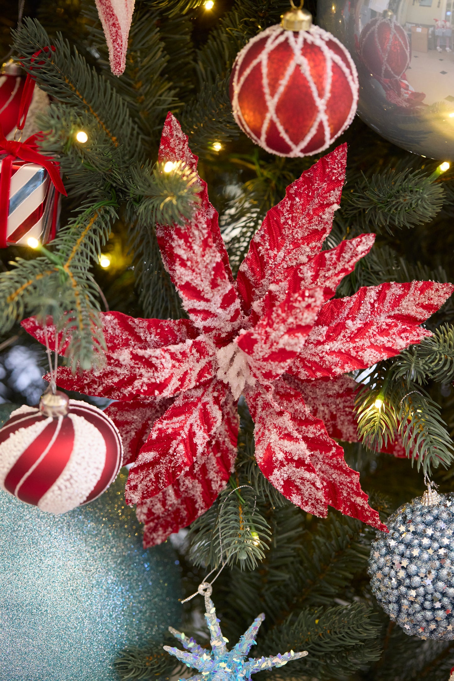 Frosted Red Poinsettia