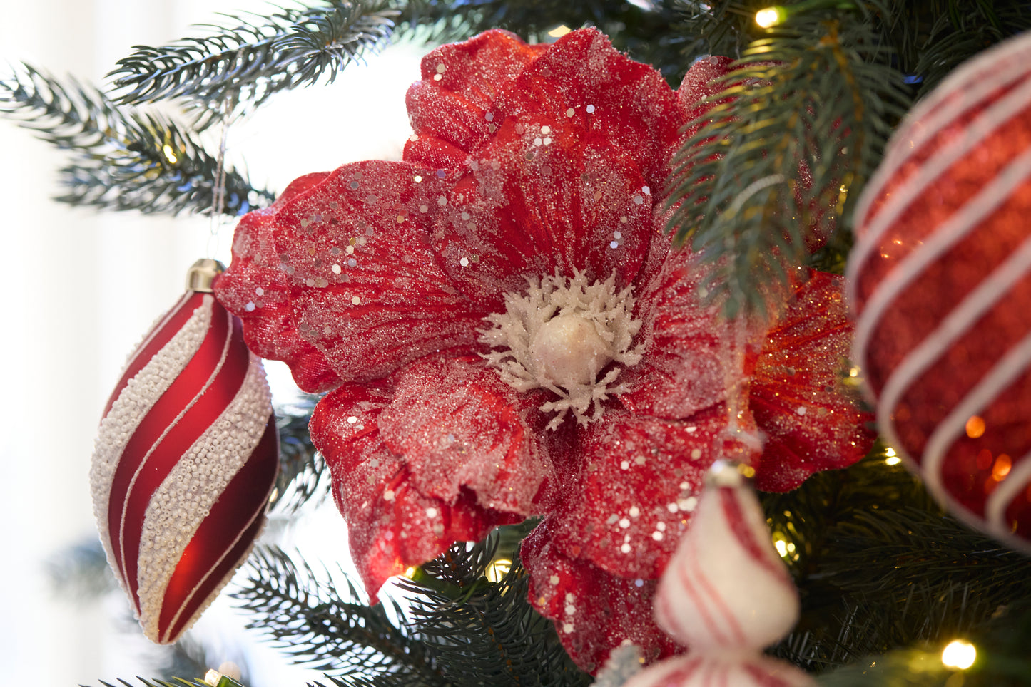 Frosted Red Magnolia