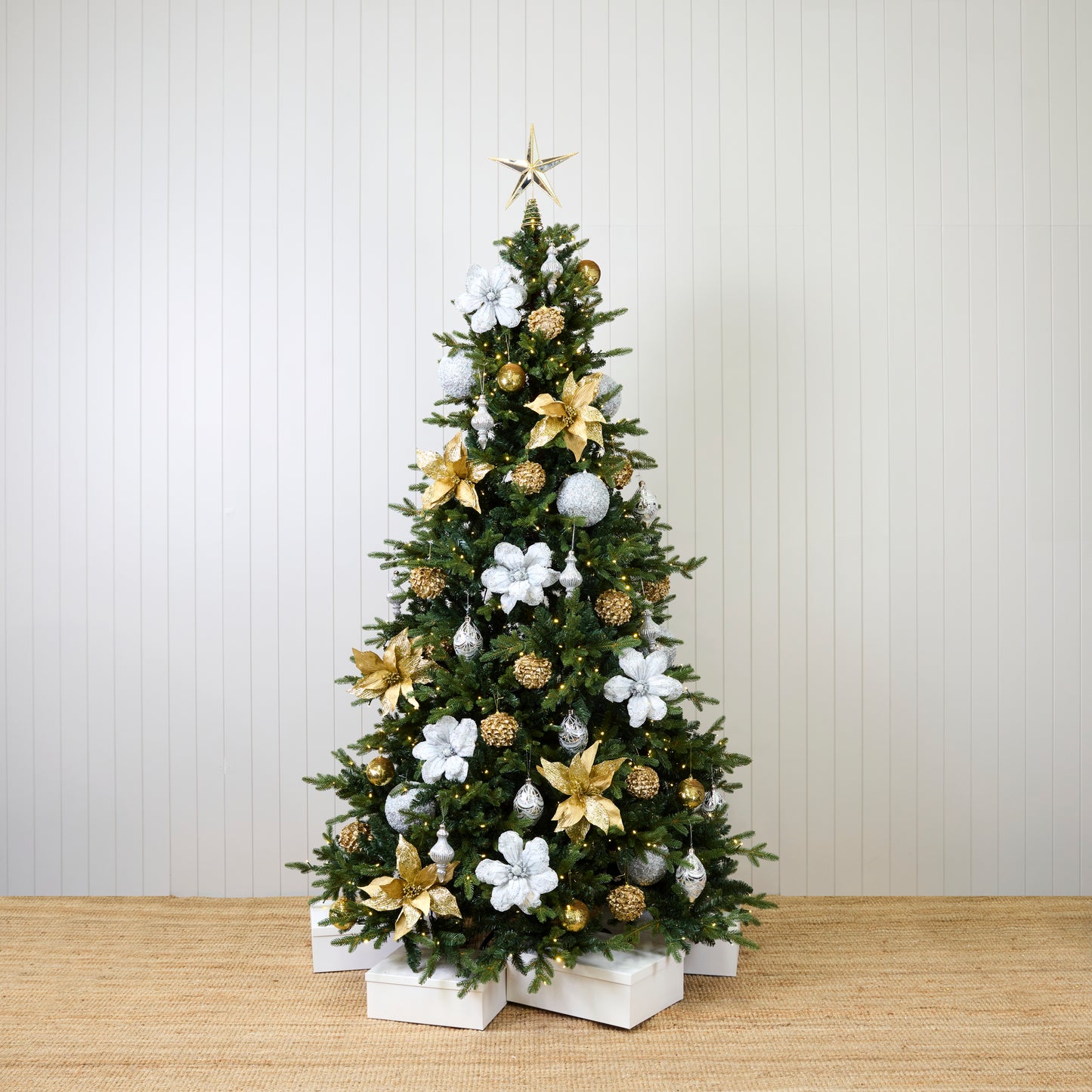 GOLD AND SILVER STARTER PACK