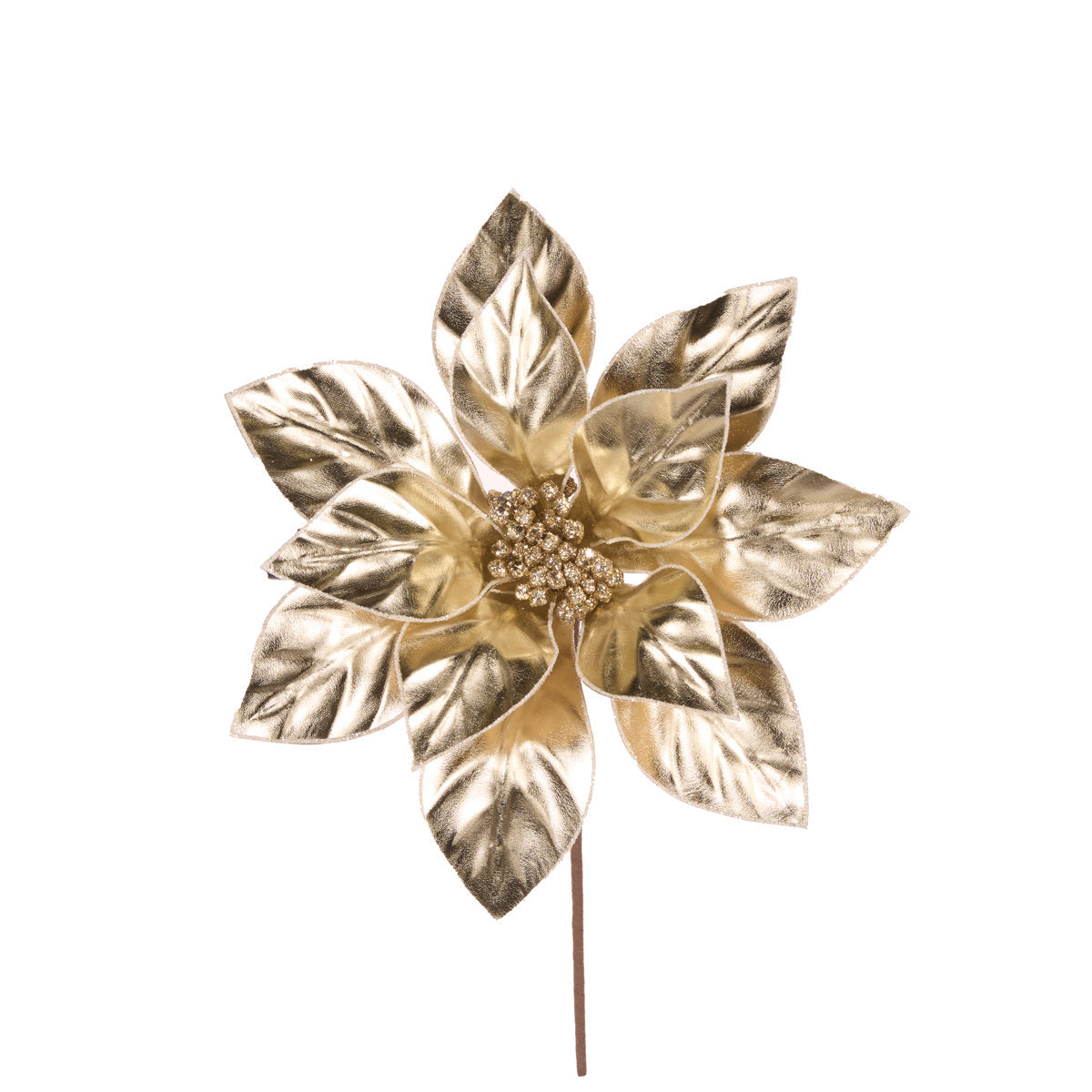 MATTE CHAMPAGNE POINSETTIA