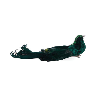 EMERALD ADORNED BIRD