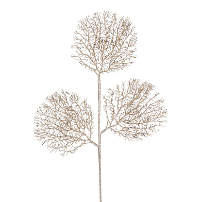 Champagne Sea Fan Spray