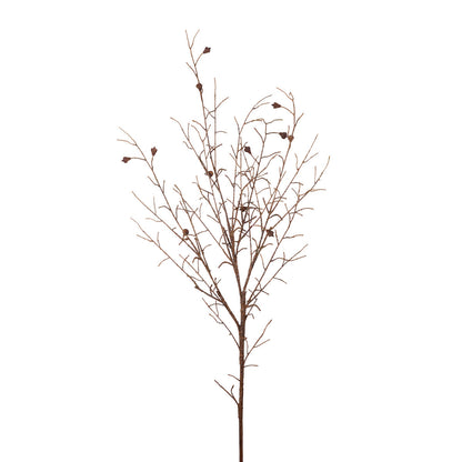 Seed Pod Branch