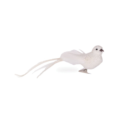White Long Tailed Feather Bird