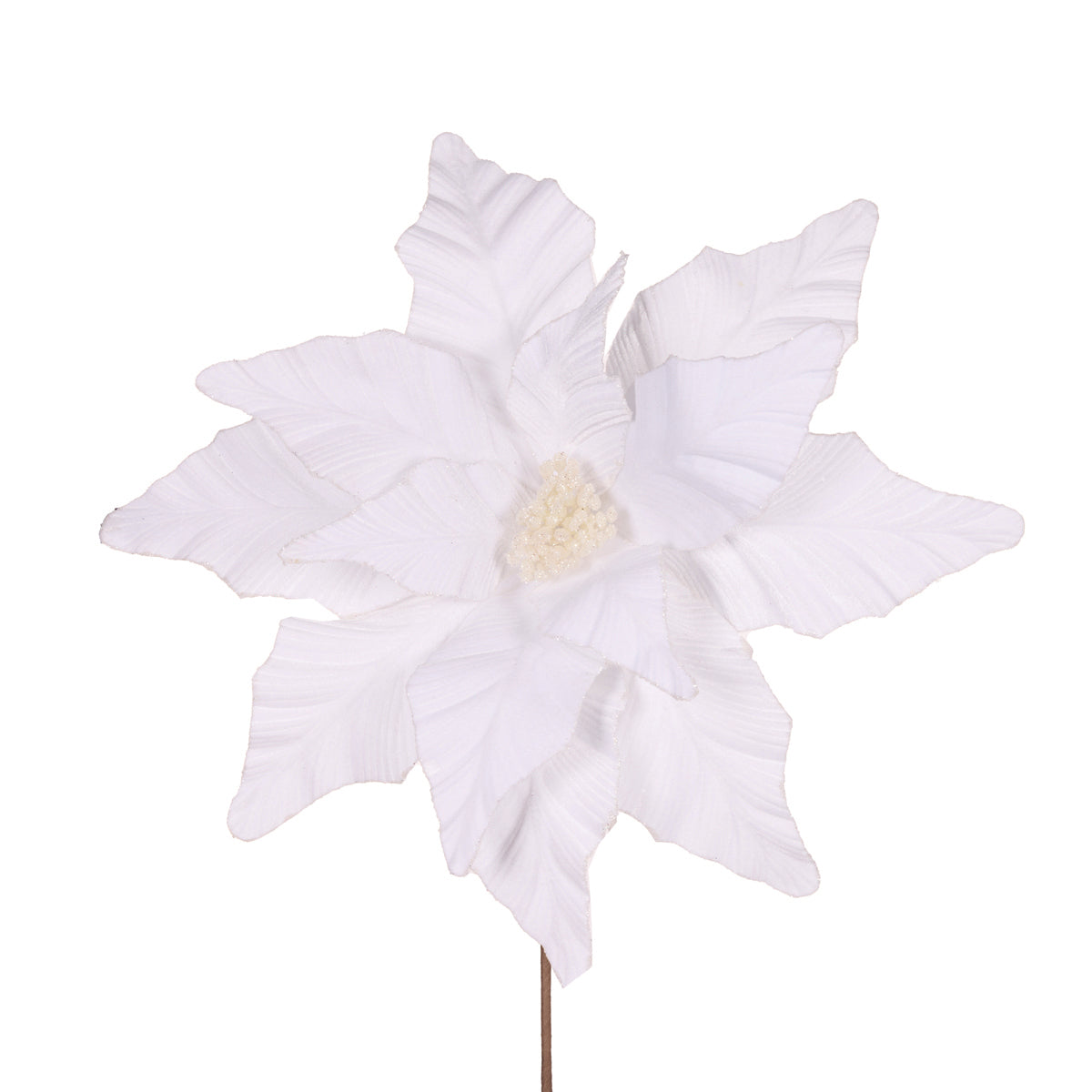 LUXE WHITE POINSETTIA