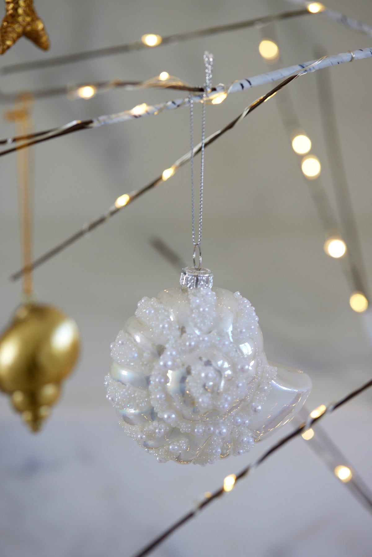 Open Coiling Shells High Shine Coil Shell With Pearls – Holly & Ivy