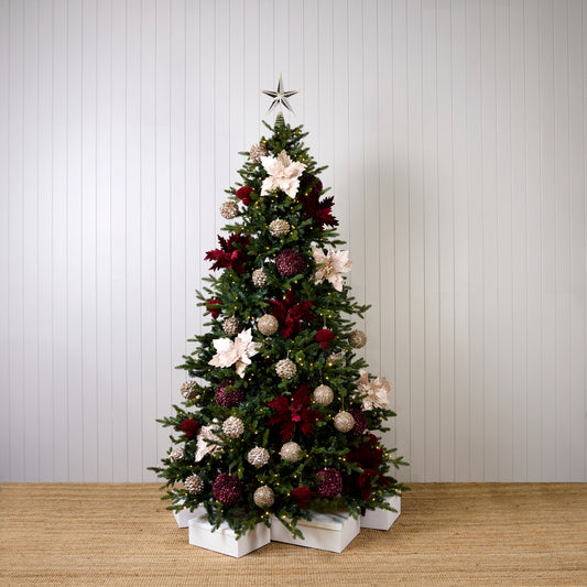 CHAMPAGNE AND BURGUNDY STARTER PACK