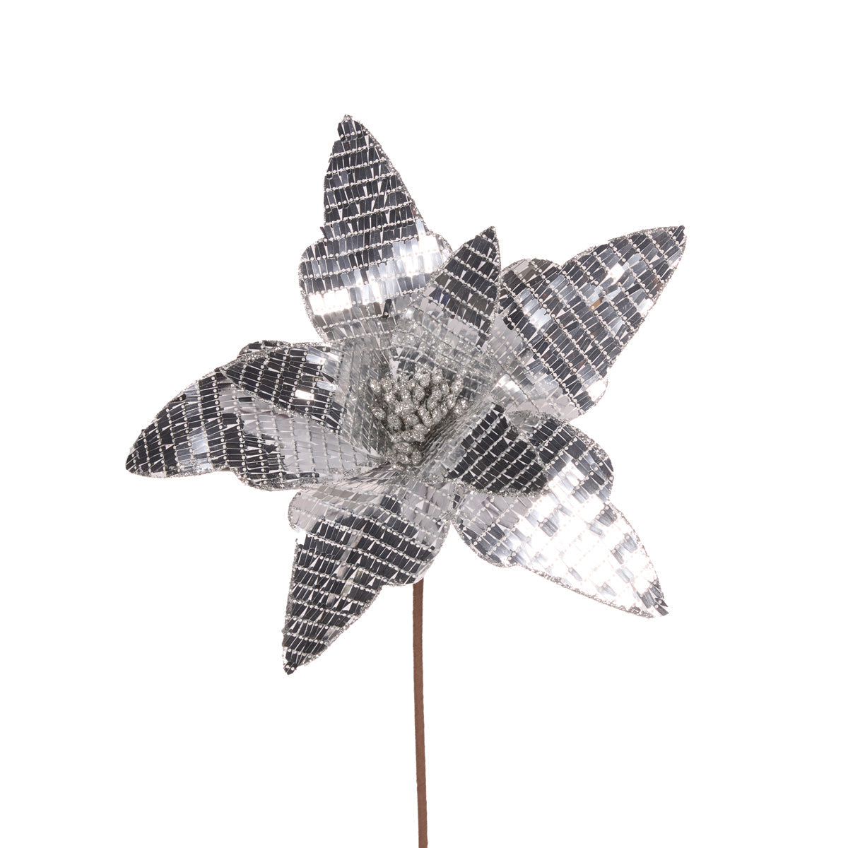 Disco Silver Poinsettia