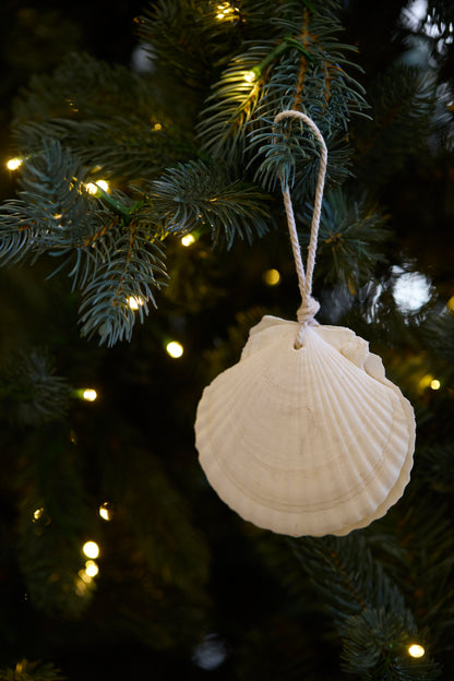 Hanging Clam Ornament