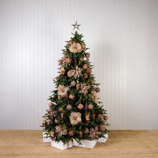 COPPER STARTER PACKS