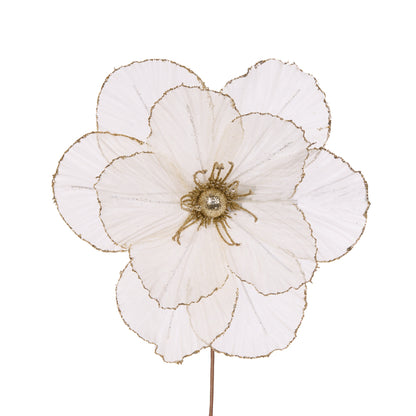 Sheer Ivory Camellia