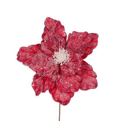 Frosted Red Magnolia