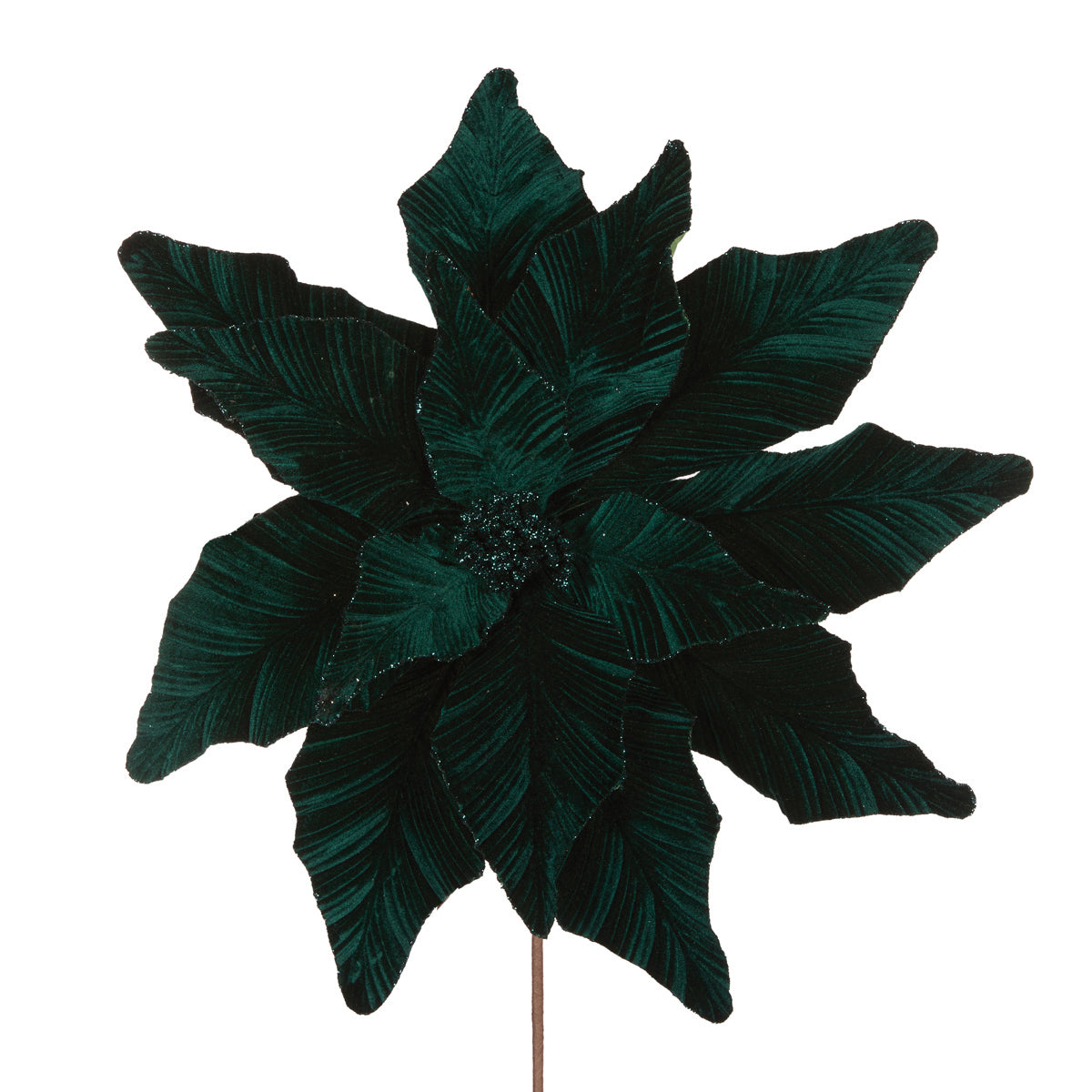LUXE EMERALD POINSETTIA