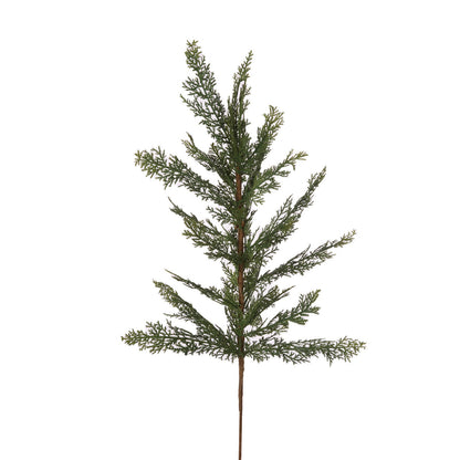 Conifer Pick