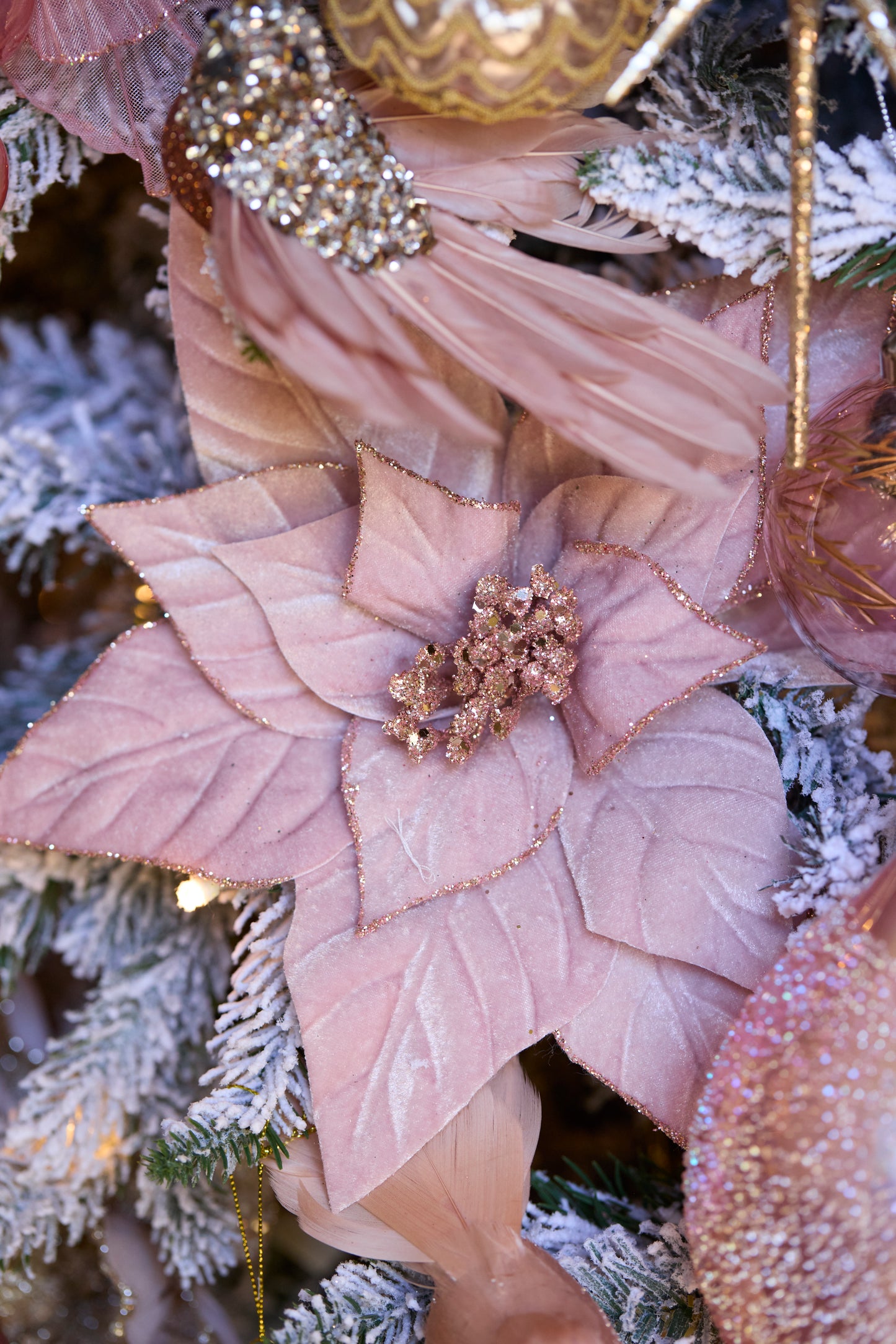 Minimal Pink Velour Poinsettia