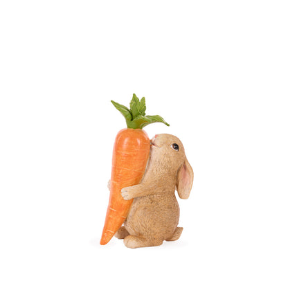 MR RABBIT HUGGING CARROT