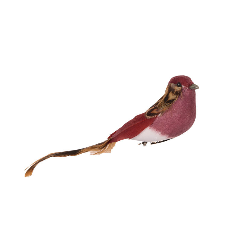 Port Feather Clip Bird