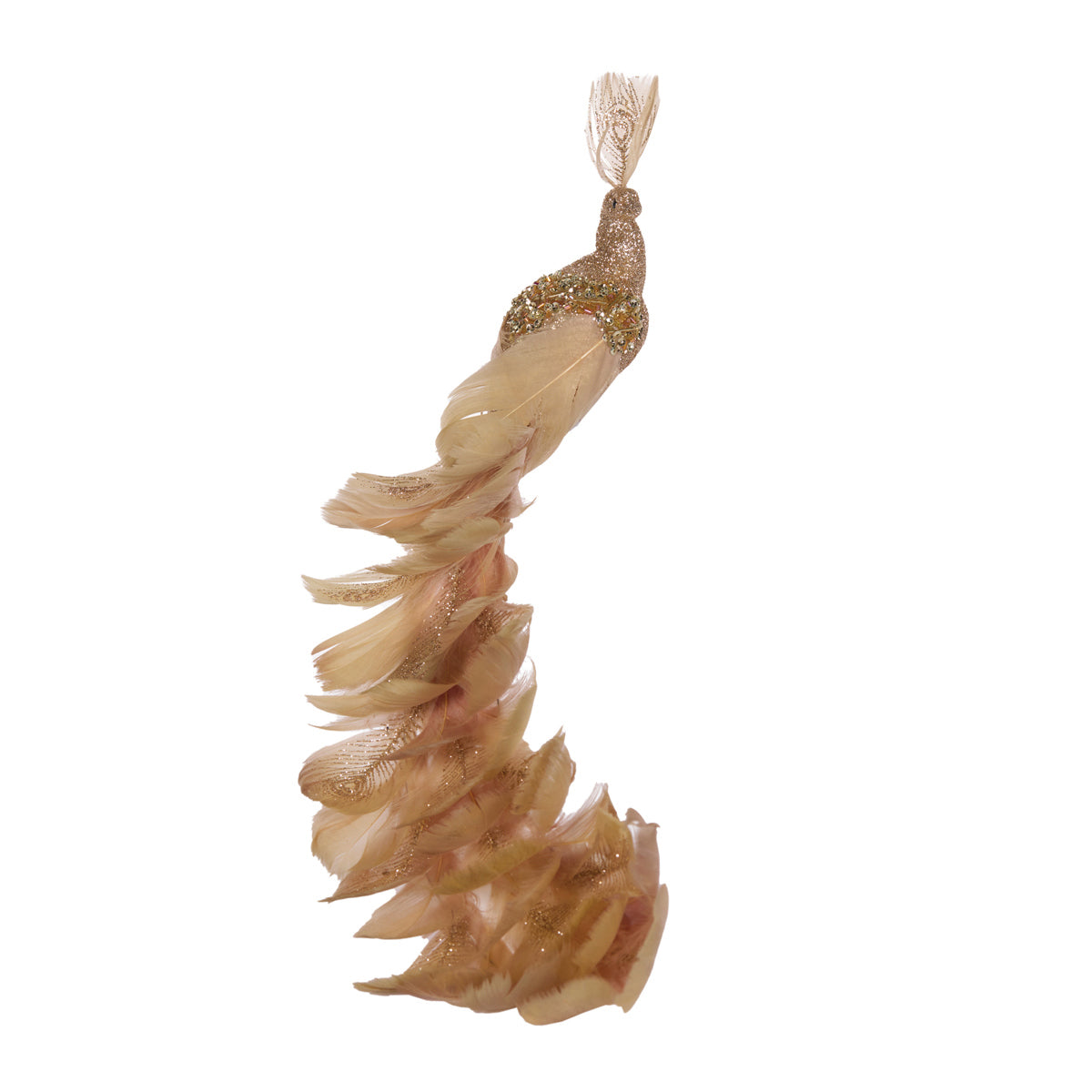 NEUTRAL CURVED TAILED PEACOCK
