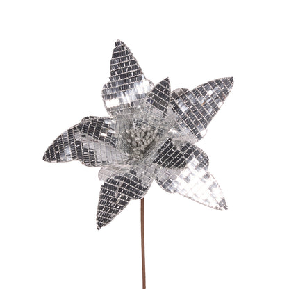 Disco Silver Poinsettia