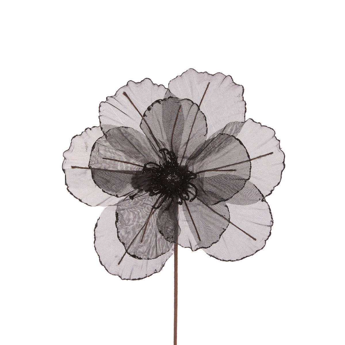 SHEER BLACK CAMELLIA