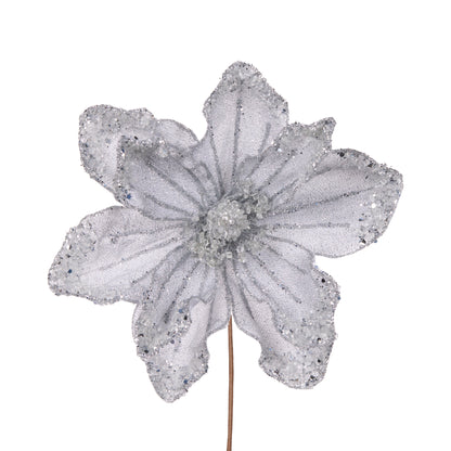 Silver Beaded Magnolia