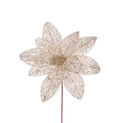 Sheer Champagne Glittered Poinsettia