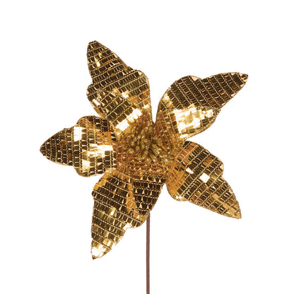 Disco Gold Poinsettia