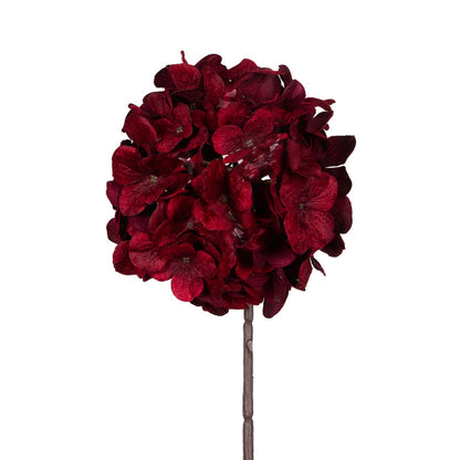 Deep Red Hydrangea Stem