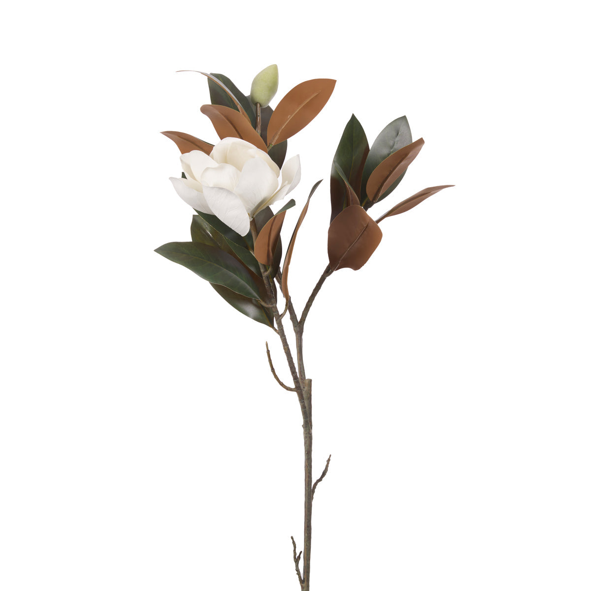 BLOOMING MAGNOLIA SPRAY