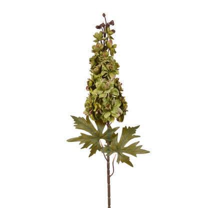 Green Delphinium Stem