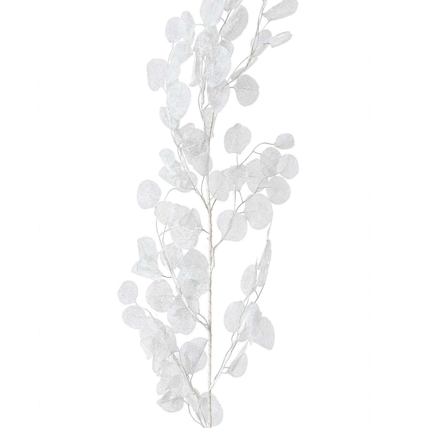150Cm Honesty Garland White