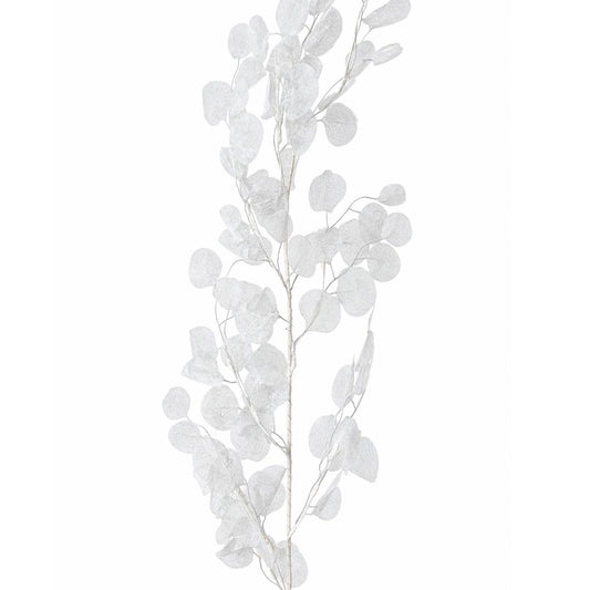 150Cm Honesty Garland White