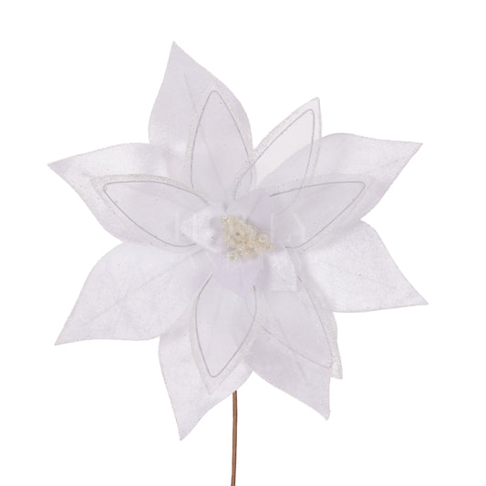 White Layered Poinsettia