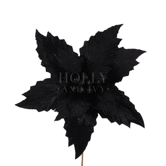 Black Velvet Poinsettia