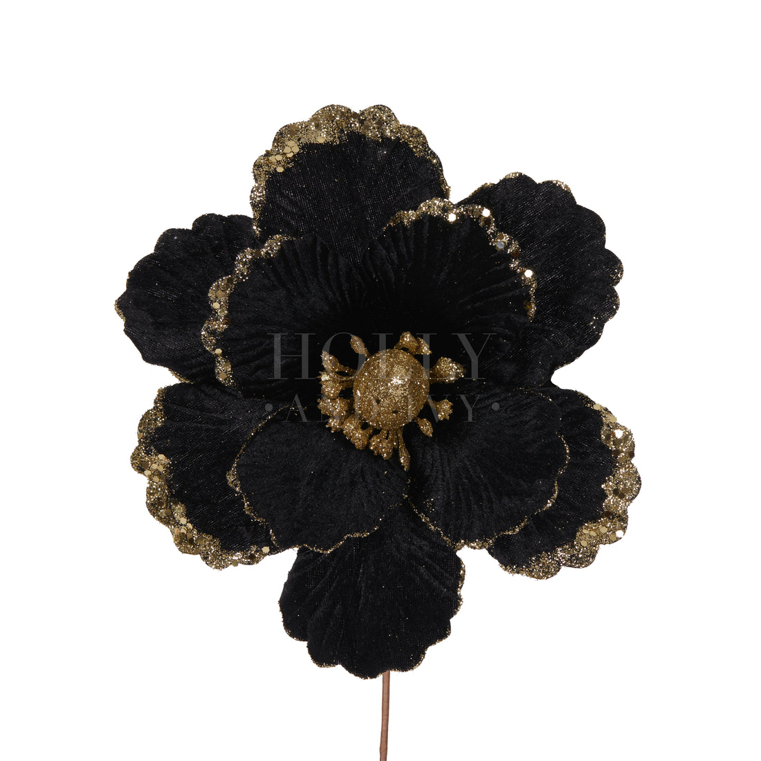 Black & Gold Velvet Poppy – Holly & Ivy