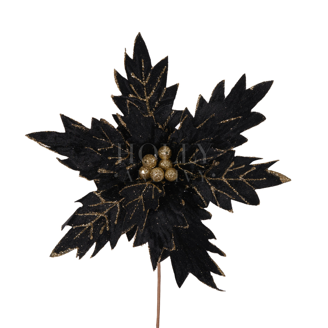 Black & Gold Poinsettia
