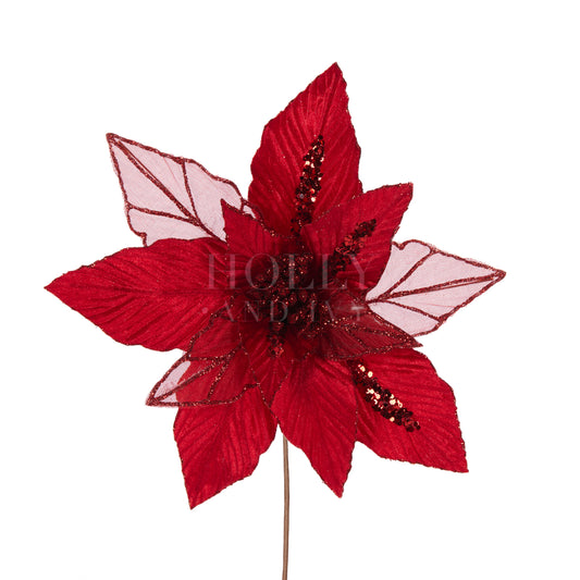 Red Eloquent Poinsettia