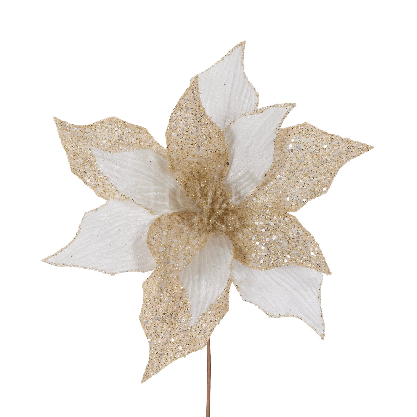 Ivory Embossed Poinsettia