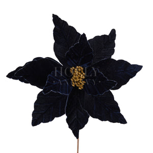Midnight Blue Poinsettia