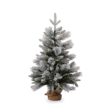 Load image into Gallery viewer, Potted Douglas Fir Snow 3Ft - 50 Led
